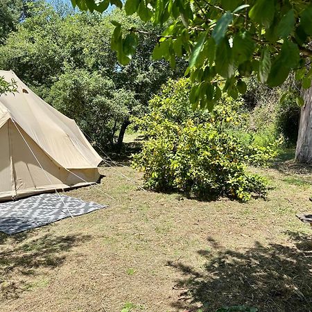 Giant Canvas Rental Tent Agro-Turismo Quinta Da Fonte Фигейро-душ-Виньюш Экстерьер фото