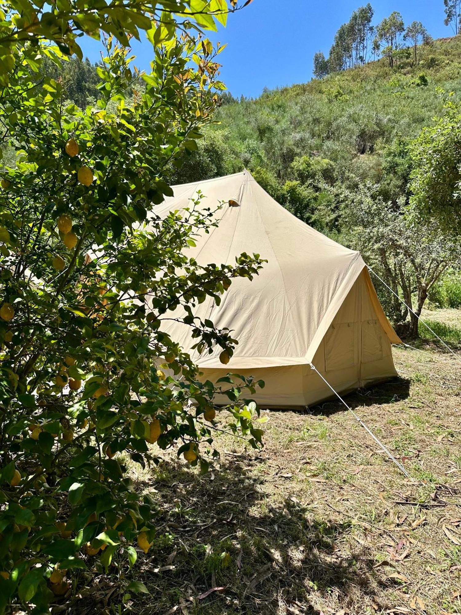 Giant Canvas Rental Tent Agro-Turismo Quinta Da Fonte Фигейро-душ-Виньюш Экстерьер фото